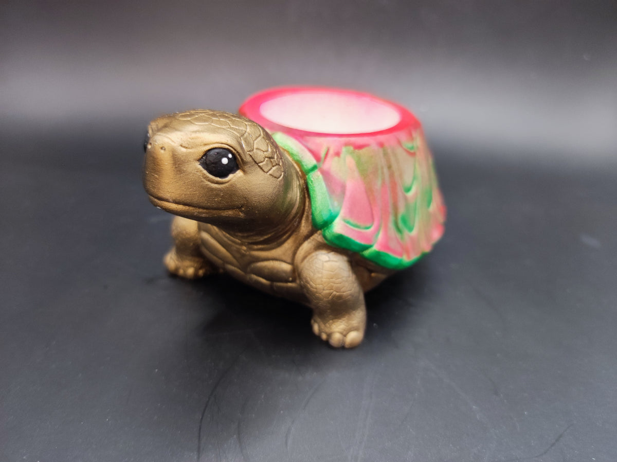 Teknős mini kaspó Watermelon