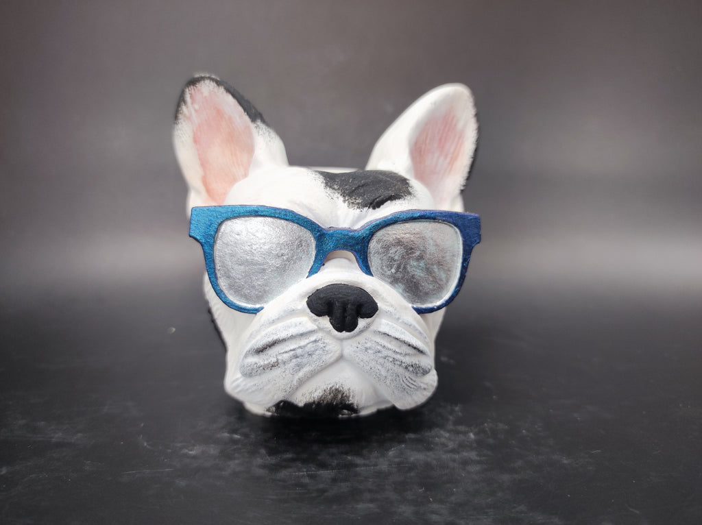 Francia bulldog