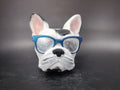 Francia bulldog