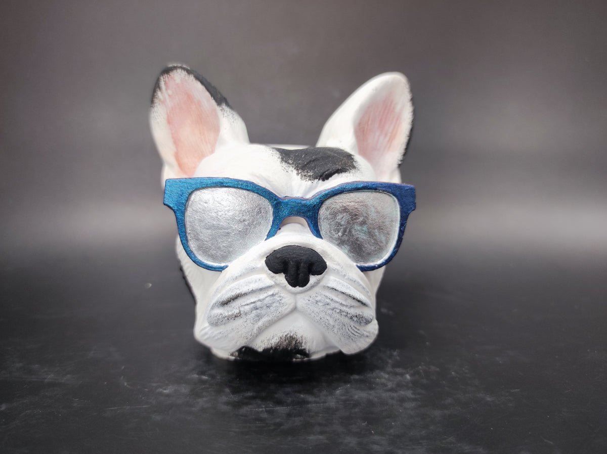Francia bulldog