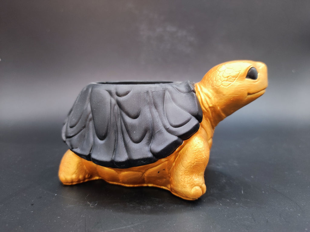 Teknős mini kaspó Jewel