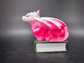 Könyvsárkány Dragonfruit