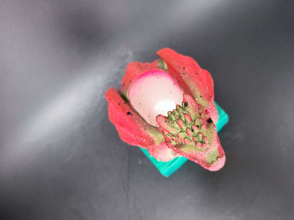 Könyvsárkány Watermelon
